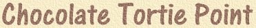 ct.jpg (8067 bytes)